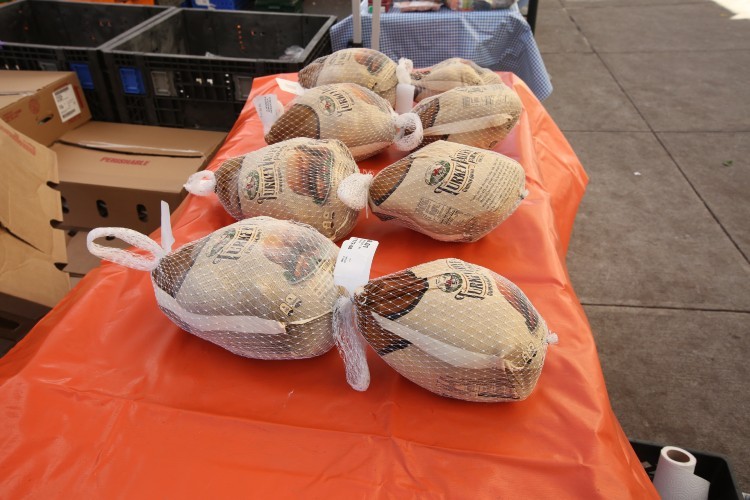 Eight turkeys resting on a table covered by an orange tablecloth.