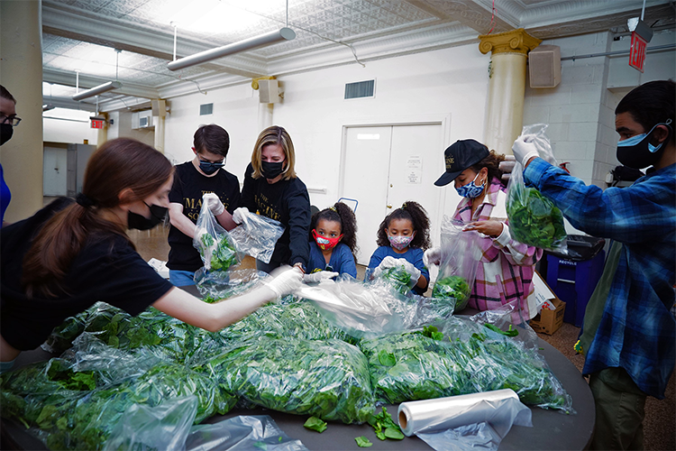 Church of the Ascension Food Pantry volunteers bag lettuce for distribution