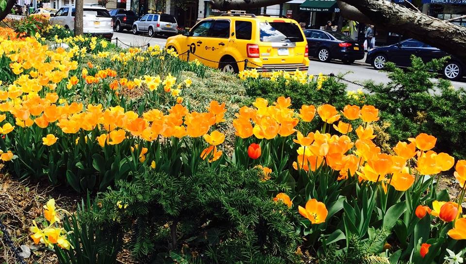CCS Grantee: Broadway Mall Association Picture of Flowers